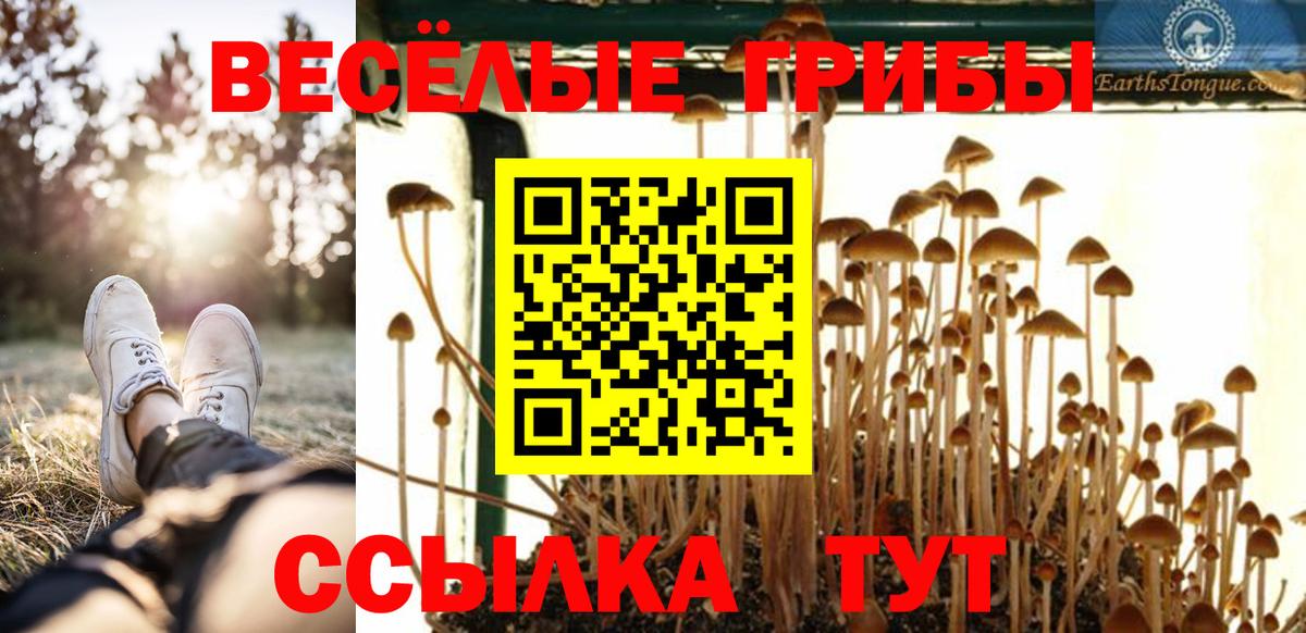 Псилоцибиновые грибы MAGIC MUSHROOMS Таганрог