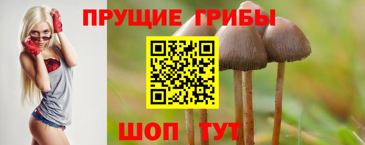 магазин    Галлюциногенные грибы мухоморы  Вход с VPN  Таганрог  Псилоцибиновые грибы Psilocybe 